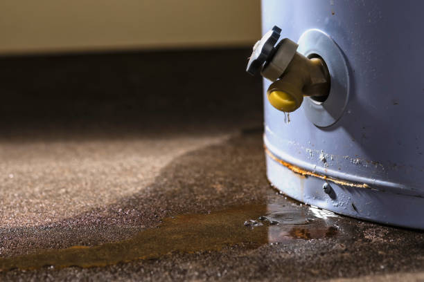 Best Basement water damage restoration  in Erie, PA