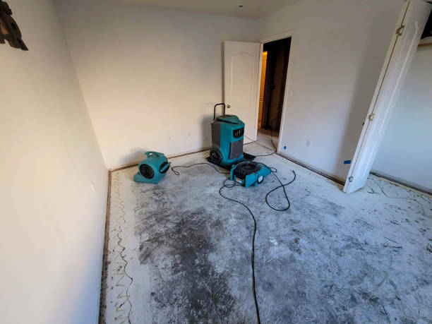 Best 24/7 water damage repair  in Erie, PA