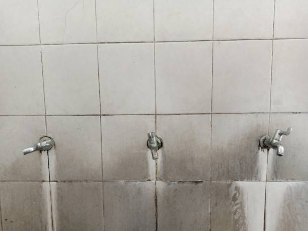 Best Ceiling water damage repair  in Erie, PA
