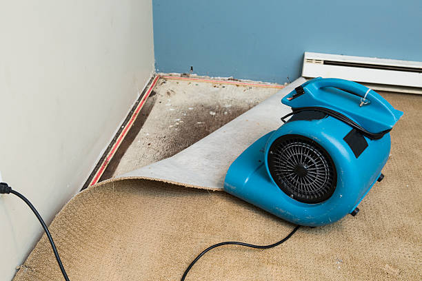 Best Fire Damage Restoration  in Erie, PA
